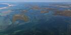 Shallow Inlet - VIC (PBH3 00 33546)